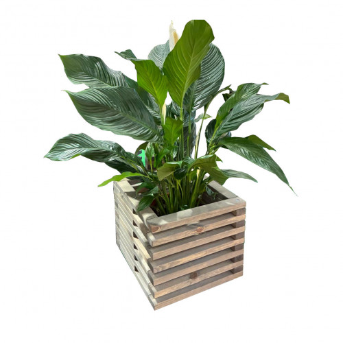 Ecofurn Kukkakehikko